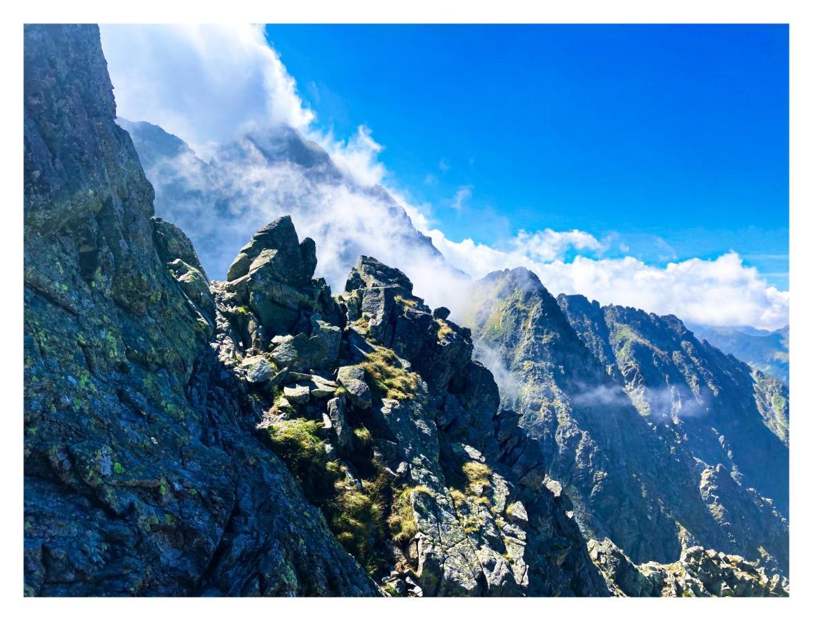 Willa Danielka Zakopane Esterno foto